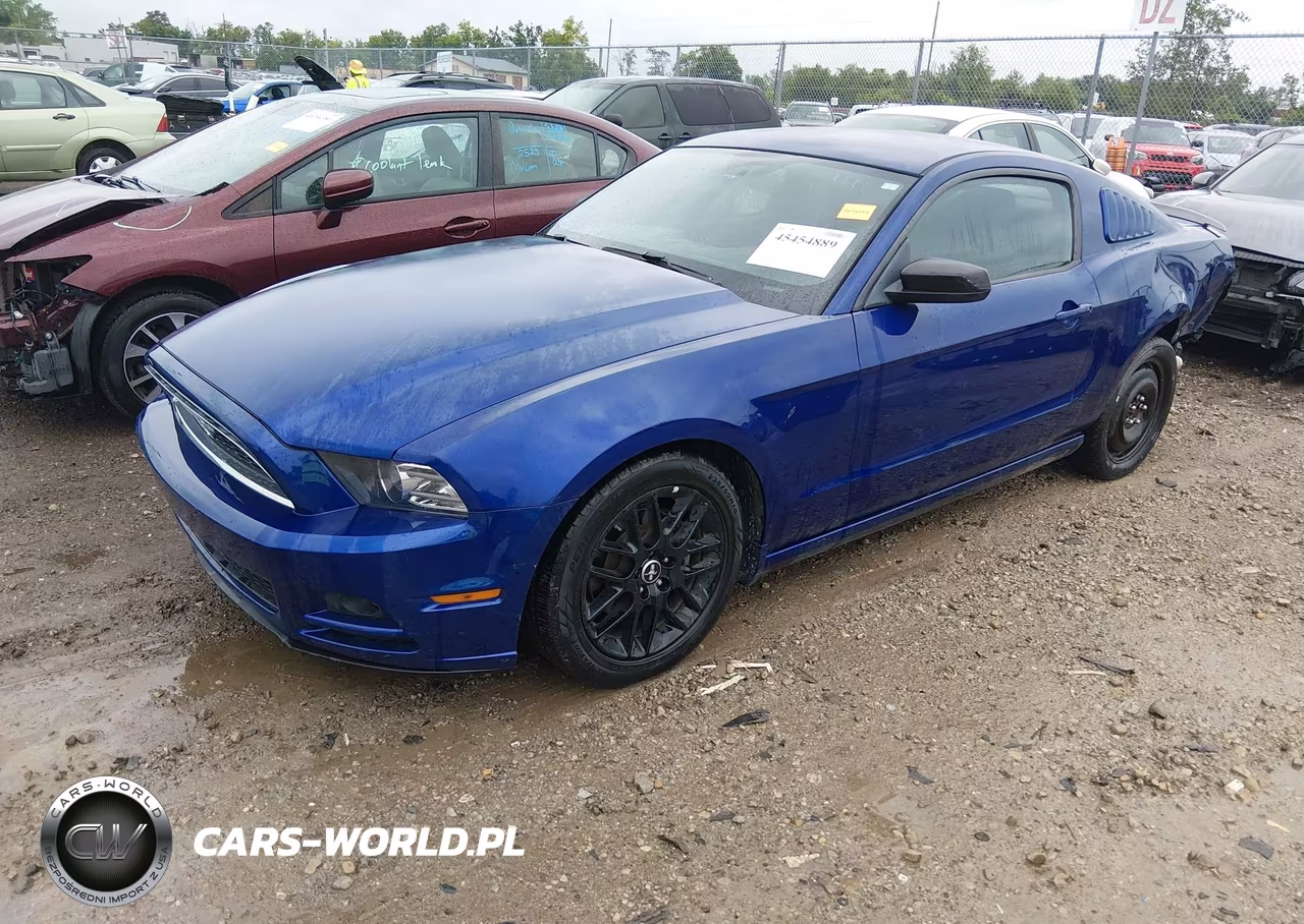 2014 Ford Mustang V6 VIN:1ZVBP8AM0E5260913 - 2
