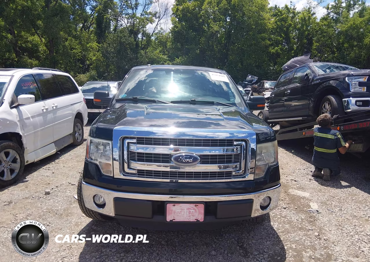 2013 Ford F-150 Xlt VIN:1FTEW1CMXDFB49530 - 12