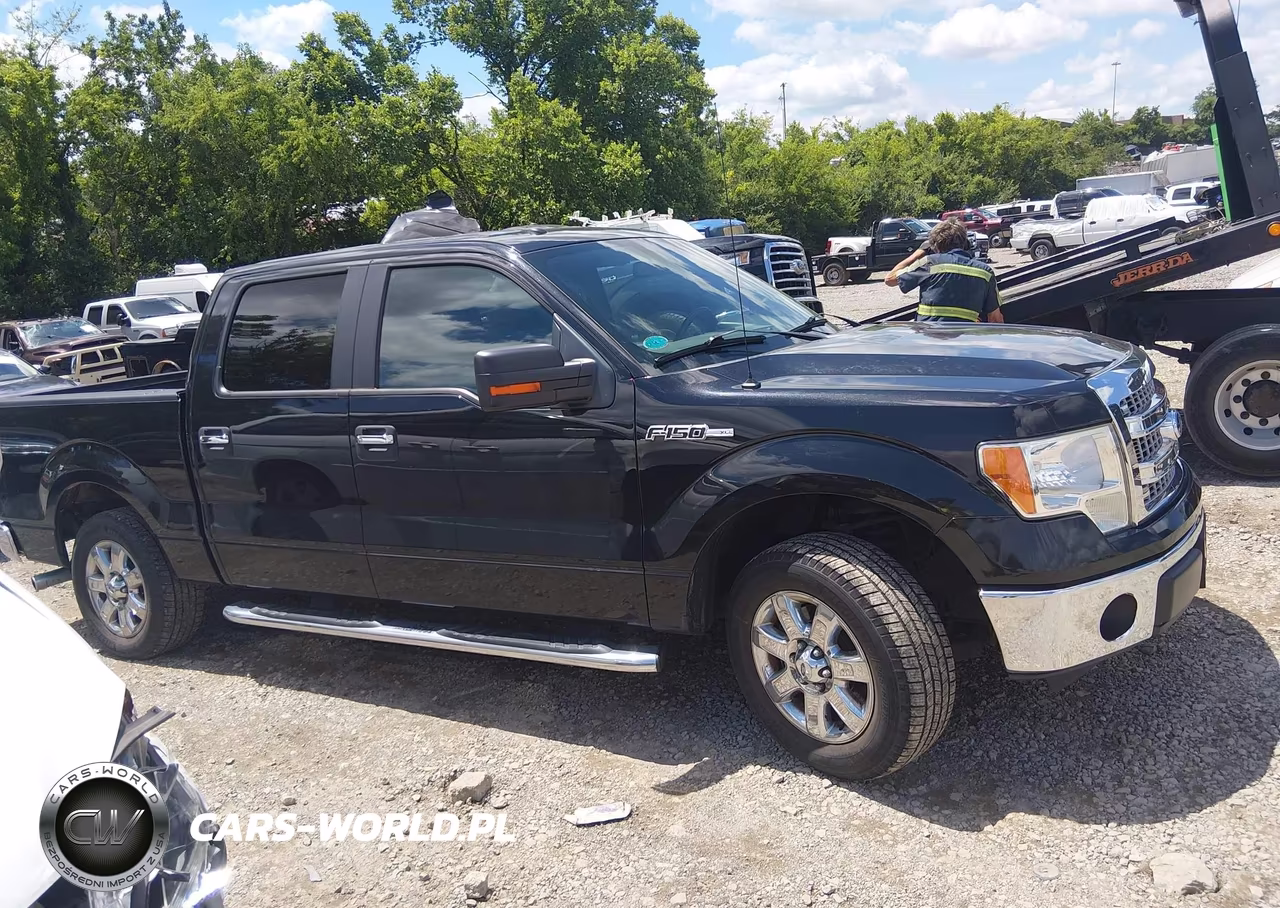 2013 Ford F-150 Xlt VIN:1FTEW1CMXDFB49530 - 13