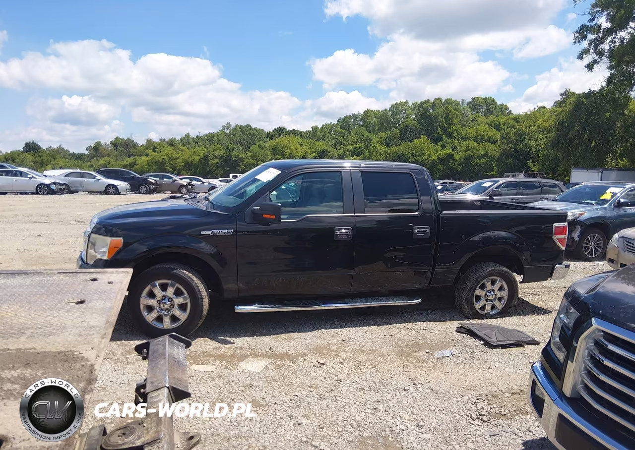 2013 Ford F-150 Xlt VIN:1FTEW1CMXDFB49530 - 14