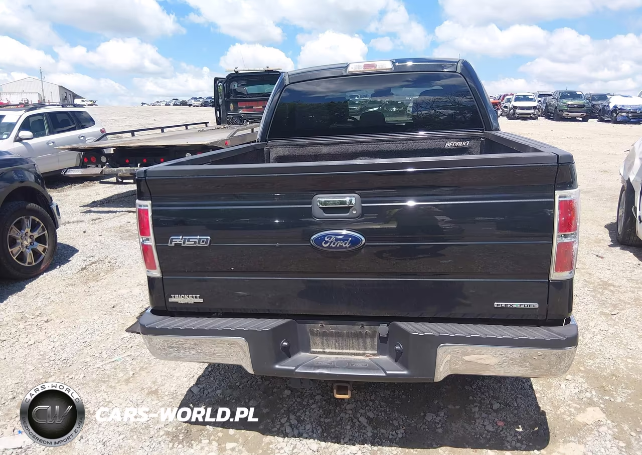 2013 Ford F-150 Xlt VIN:1FTEW1CMXDFB49530 - 16