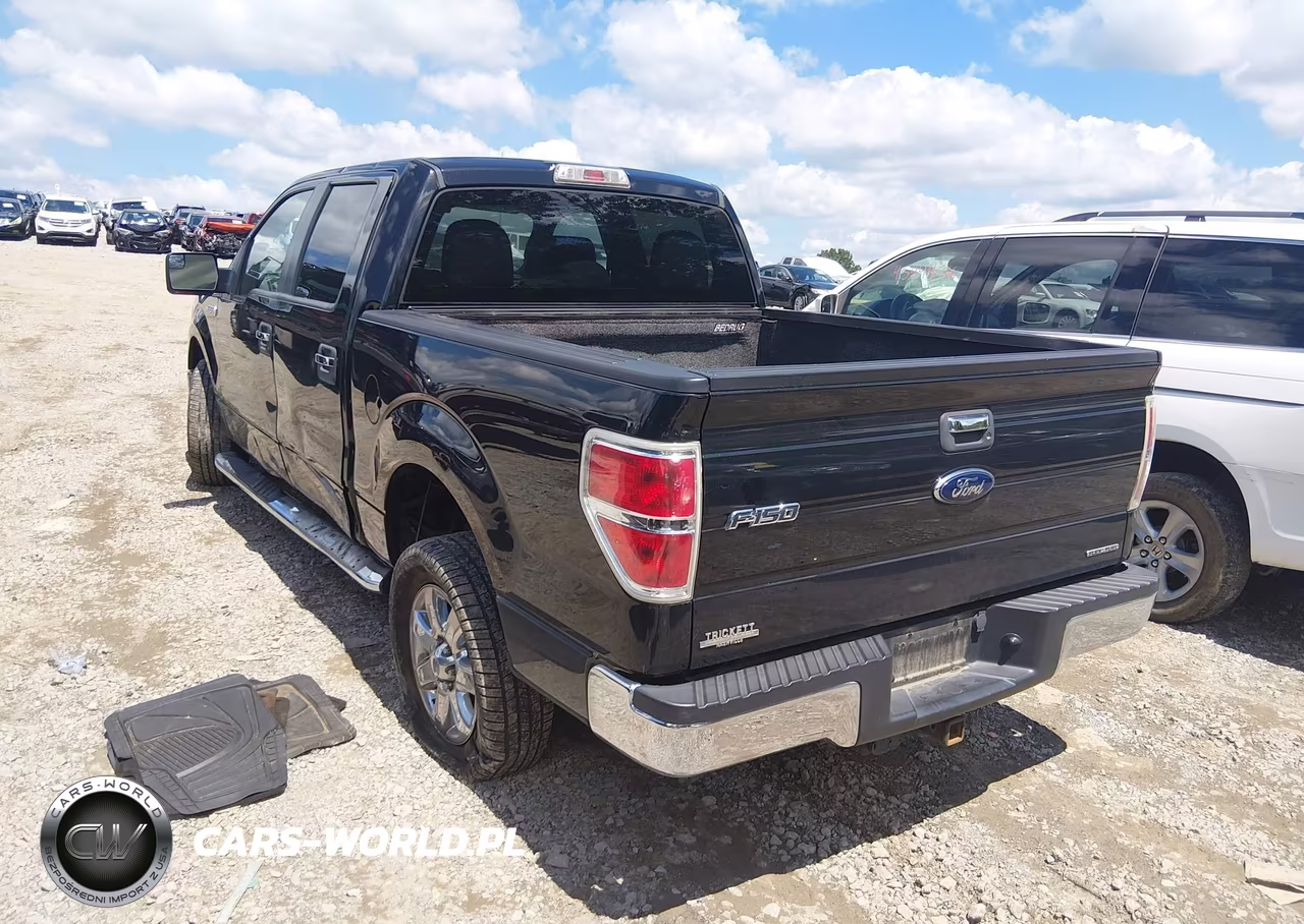 2013 Ford F-150 Xlt VIN:1FTEW1CMXDFB49530 - 3