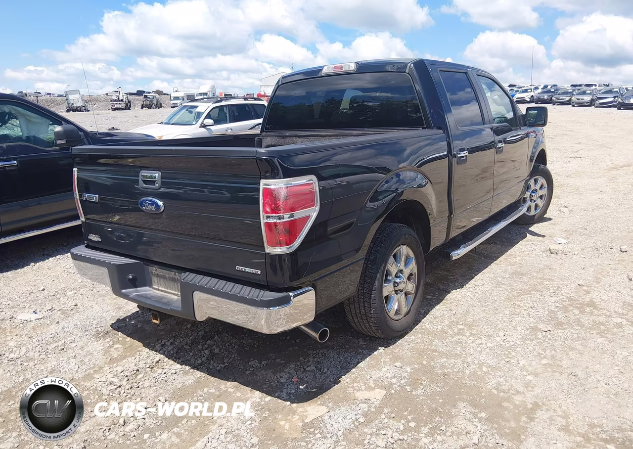2013 Ford F-150 Xlt VIN:1FTEW1CMXDFB49530 - 4