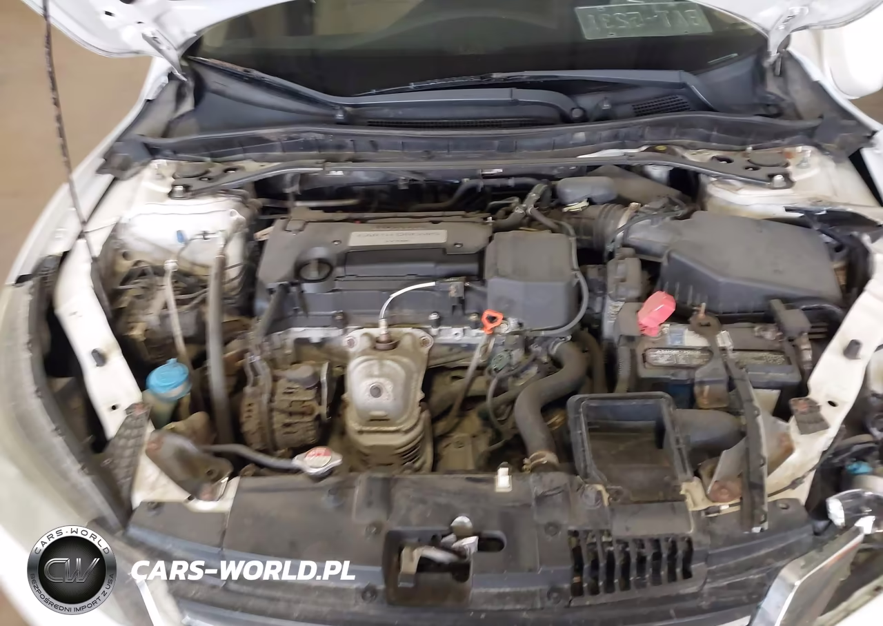 2014 Honda Accord Ex-L VIN:1HGCR2F81EA102776 - 10