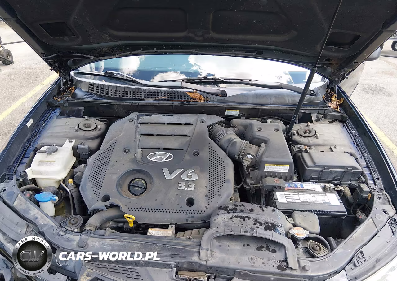 2008 Hyundai Sonata Limited V6-Se V6 VIN:5NPEU46F98H375932 - 10