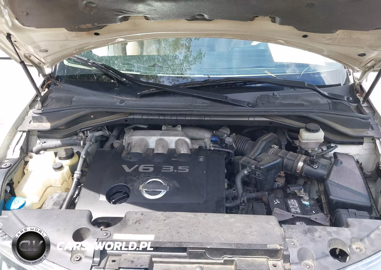 2007 Nissan Murano Sl VIN:JN8AZ08W27W618029 - 10