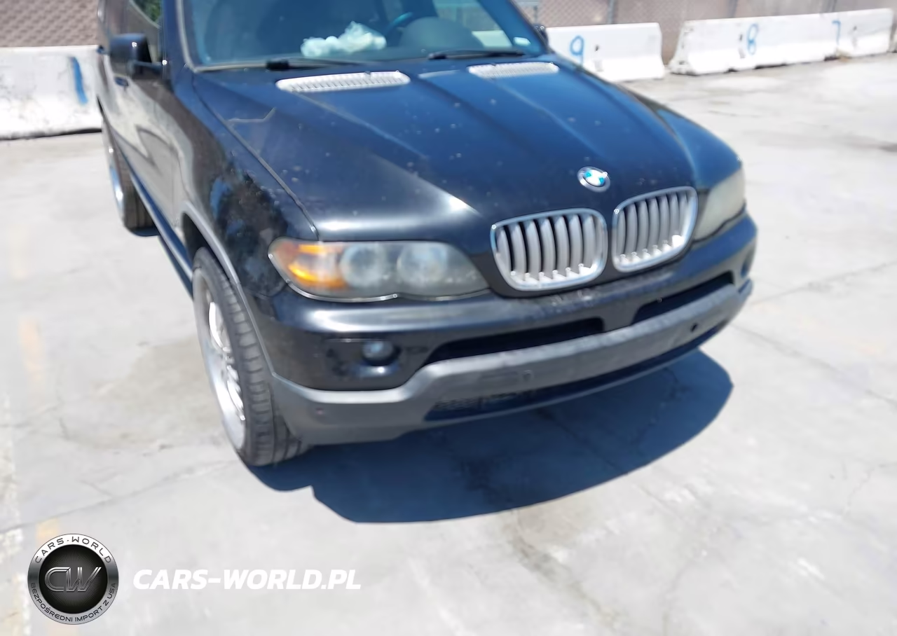 2006 BMW X5 4.4I VIN:5UXFB53566LV22307 - 6