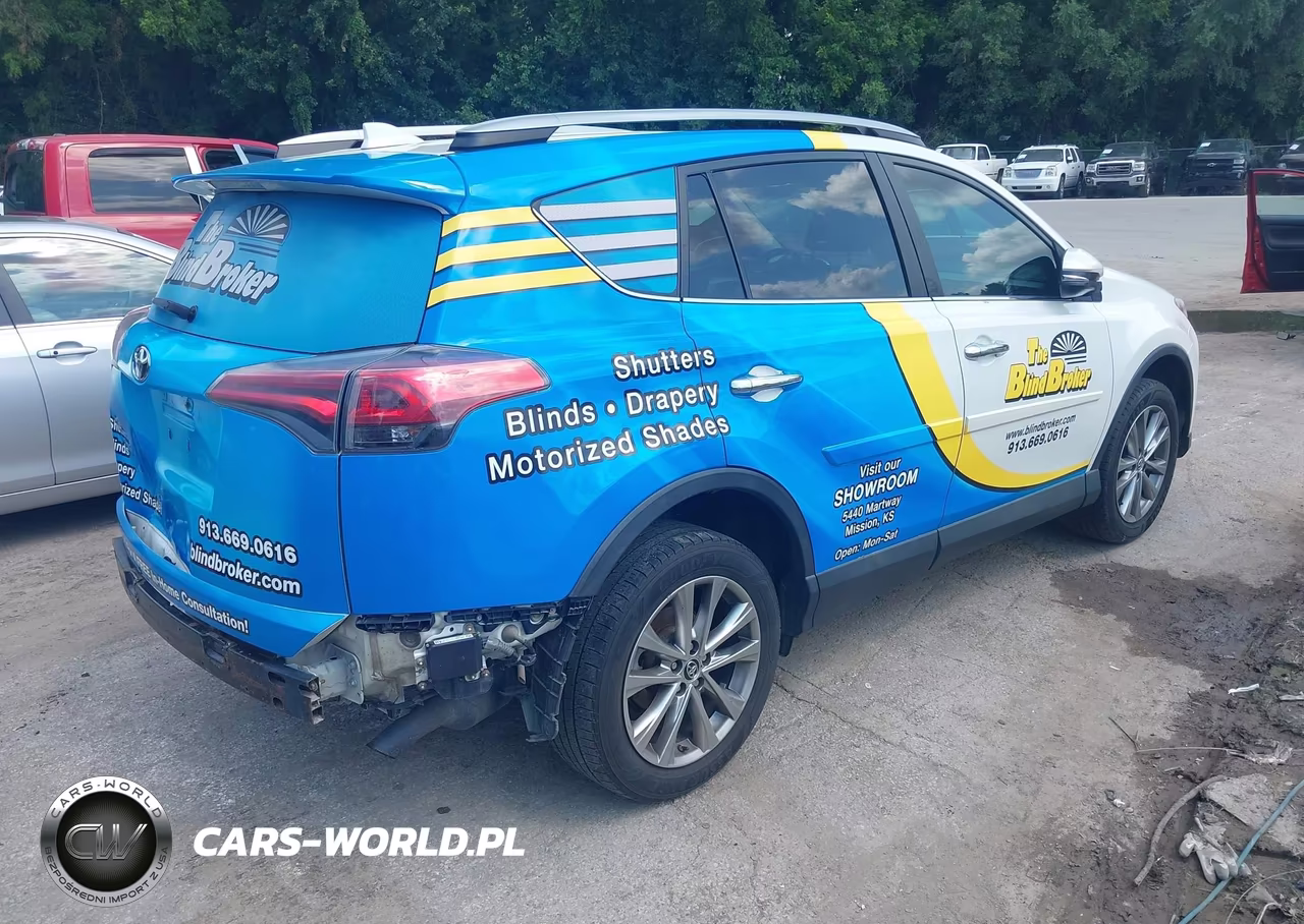 2017 Toyota Rav4 Limited VIN:2T3DFREV9HW584110 - 4