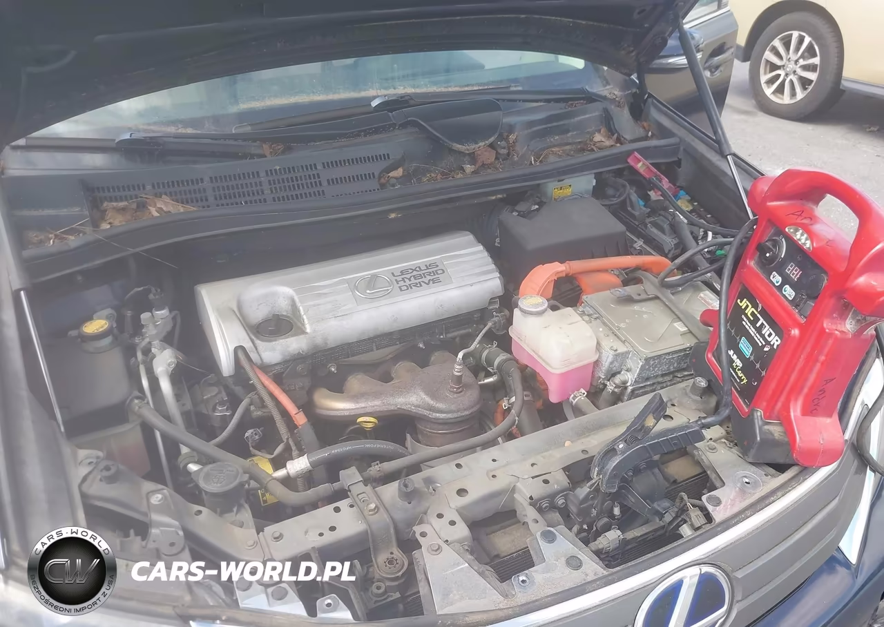 2010 Lexus Hs 250H VIN:JTHBB1BA6A2019090 - 10