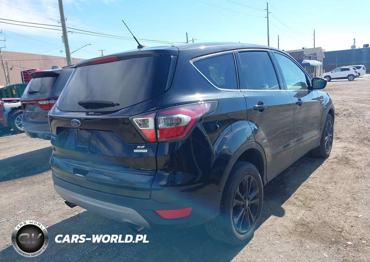 2017 Ford Escape Se VIN:1FMCU0GD6HUB50463 - 4