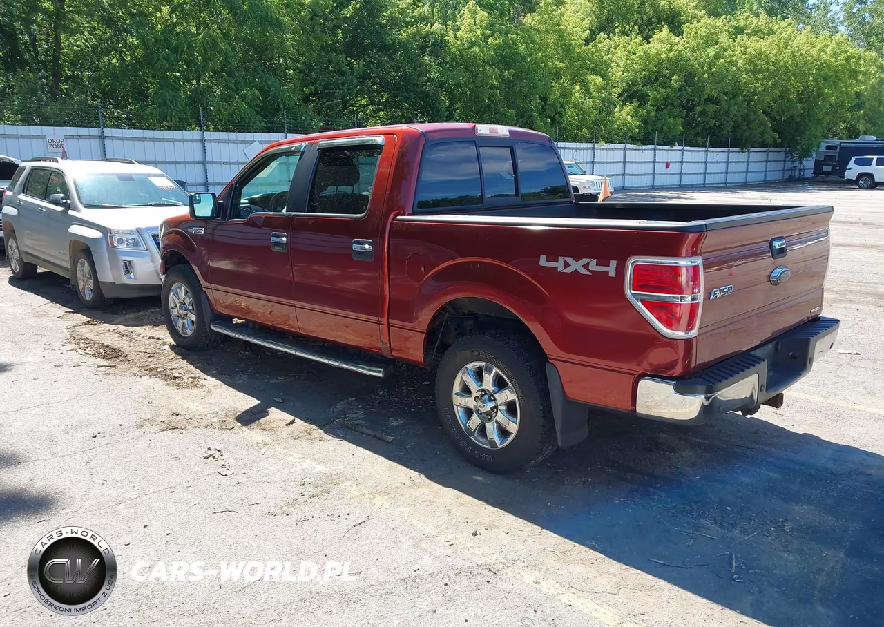 2014 Ford F-150 Xlt VIN:1FTFW1EF3EKD90325 - 3