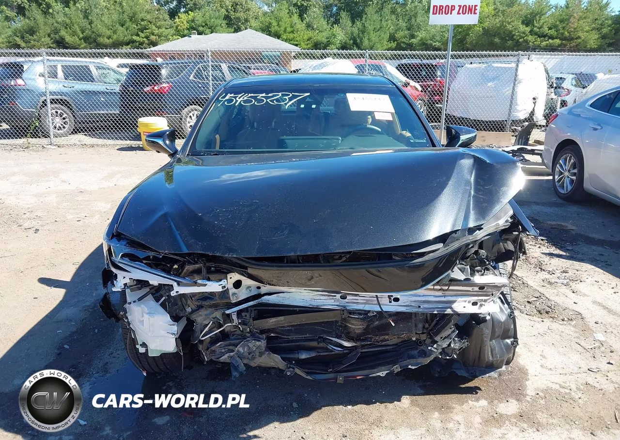 2023 Lexus Es 300H Luxury VIN:58AEA1C16PU031175 - 11