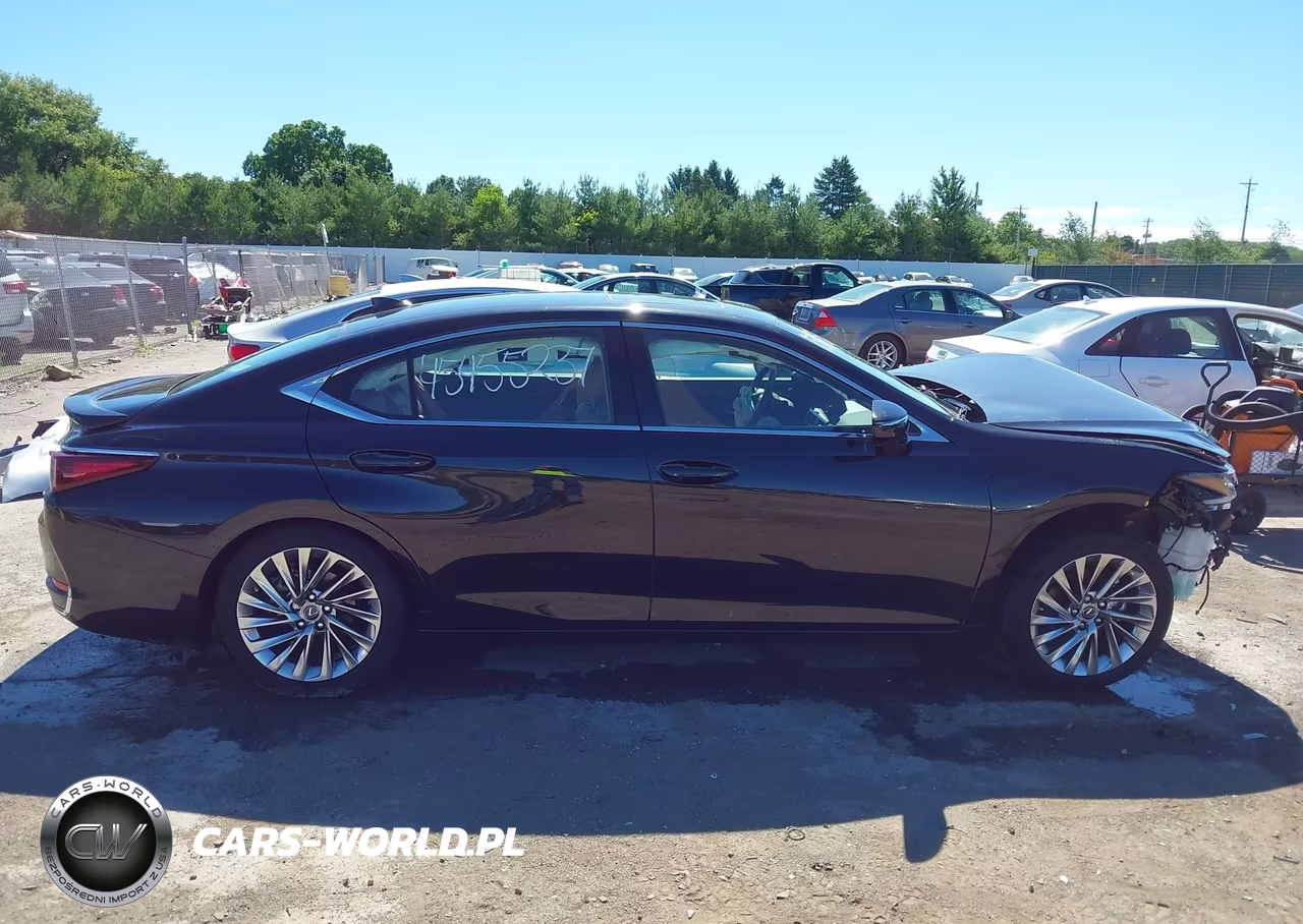 2023 Lexus Es 300H Luxury VIN:58AEA1C16PU031175 - 12