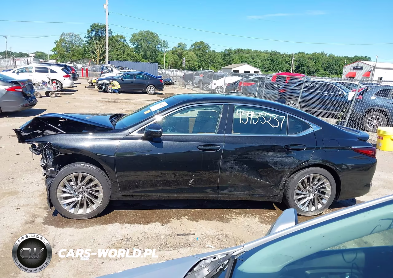 2023 Lexus Es 300H Luxury VIN:58AEA1C16PU031175 - 13