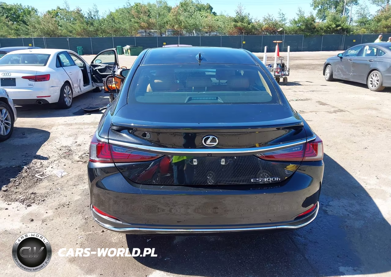 2023 Lexus Es 300H Luxury VIN:58AEA1C16PU031175 - 15