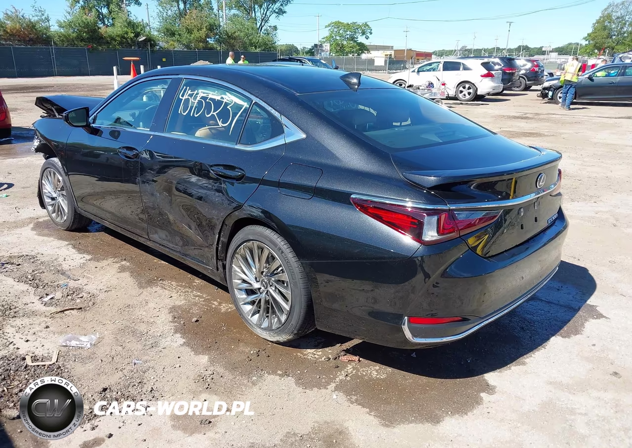 2023 Lexus Es 300H Luxury VIN:58AEA1C16PU031175 - 3