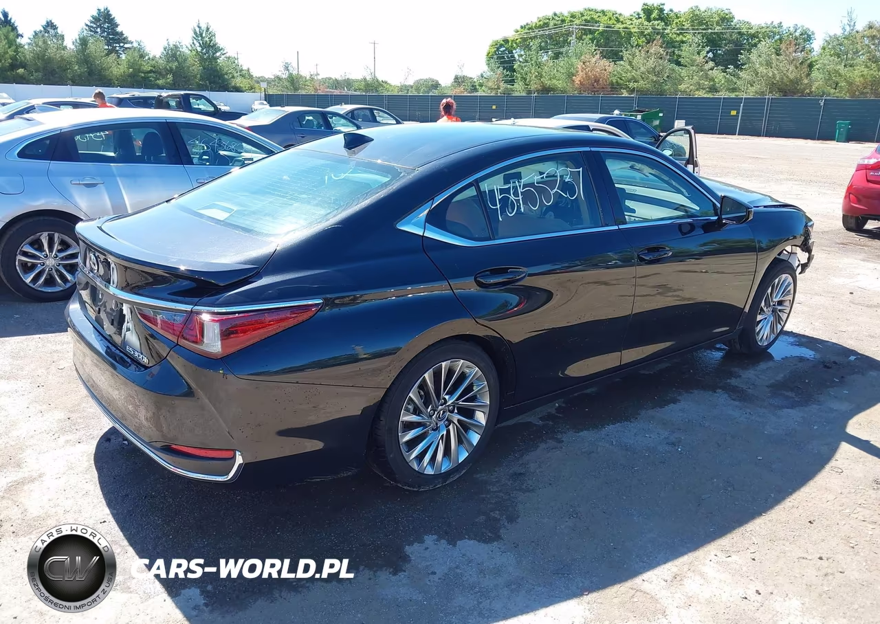 2023 Lexus Es 300H Luxury VIN:58AEA1C16PU031175 - 4