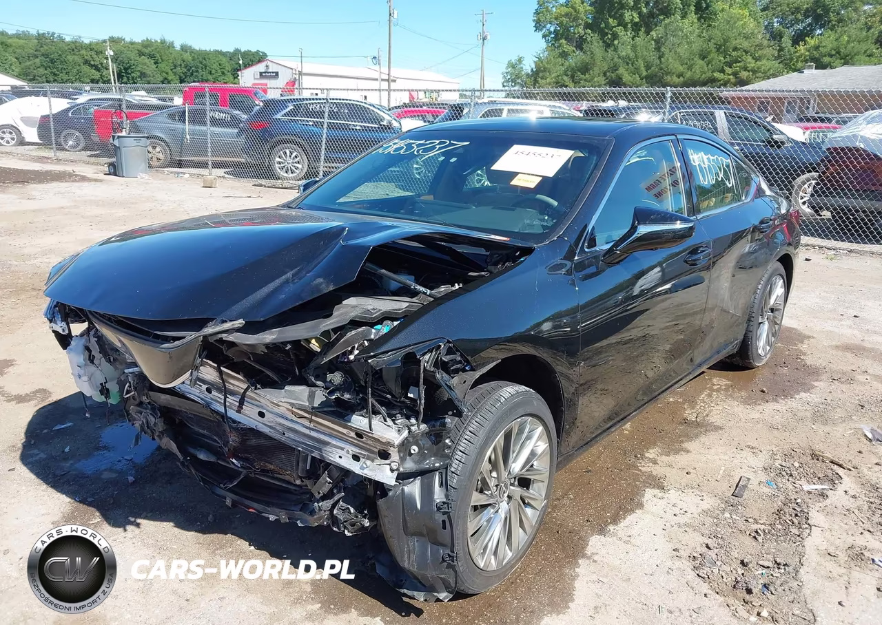 2023 Lexus Es 300H Luxury VIN:58AEA1C16PU031175 - 6