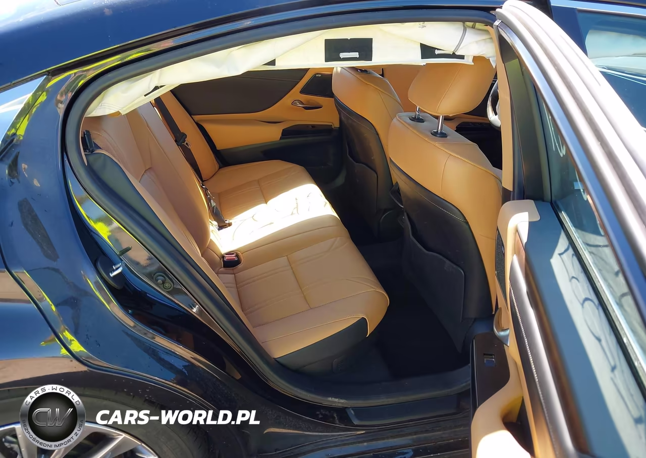 2023 Lexus Es 300H Luxury VIN:58AEA1C16PU031175 - 8