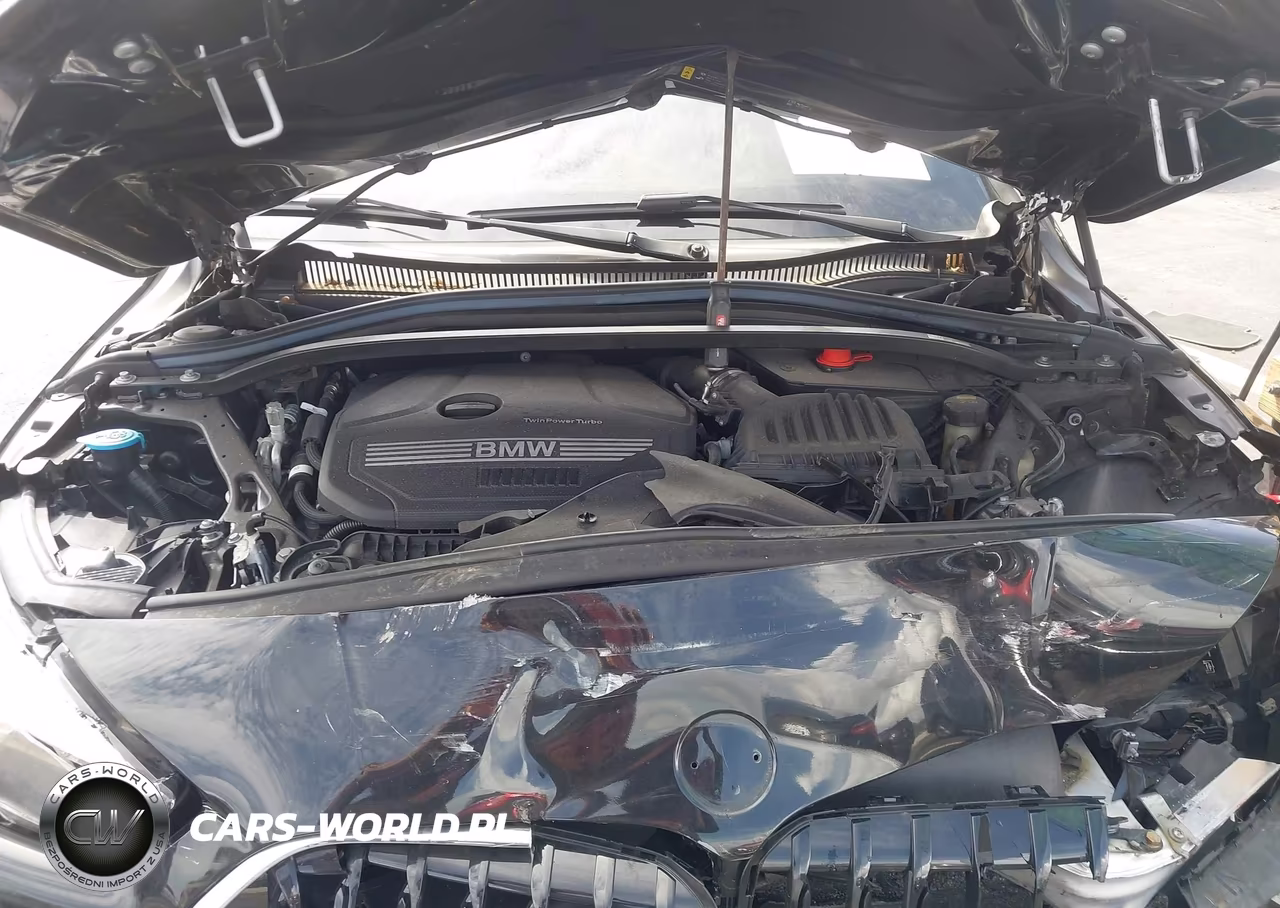 2020 BMW 228I Gran Coupe xDrive VIN:WBA73AK05L7F93620 - 10
