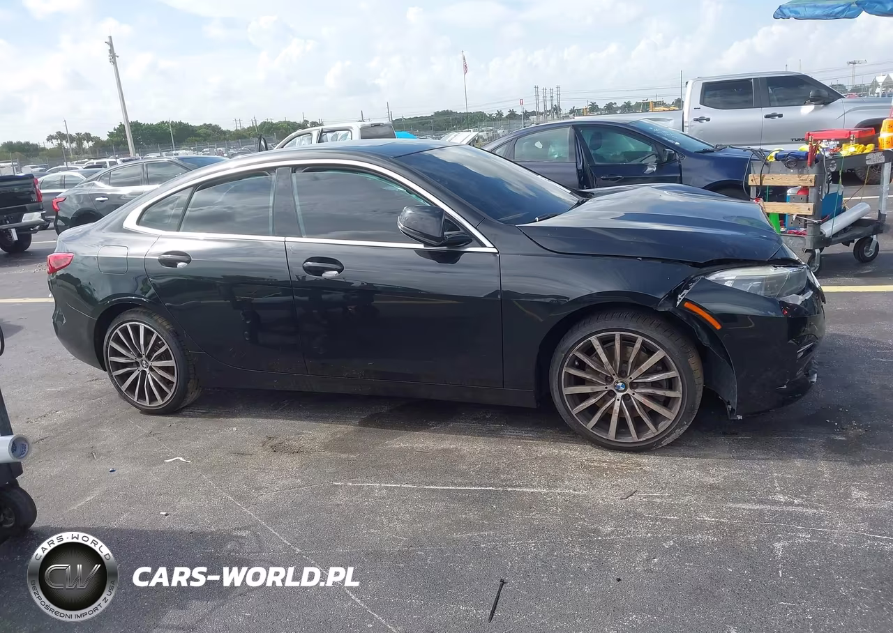 2020 BMW 228I Gran Coupe xDrive VIN:WBA73AK05L7F93620 - 13