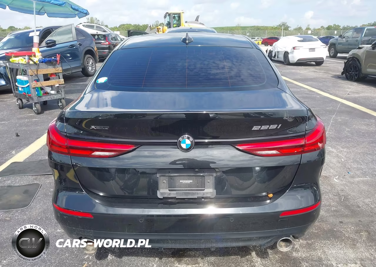 2020 BMW 228I Gran Coupe xDrive VIN:WBA73AK05L7F93620 - 16