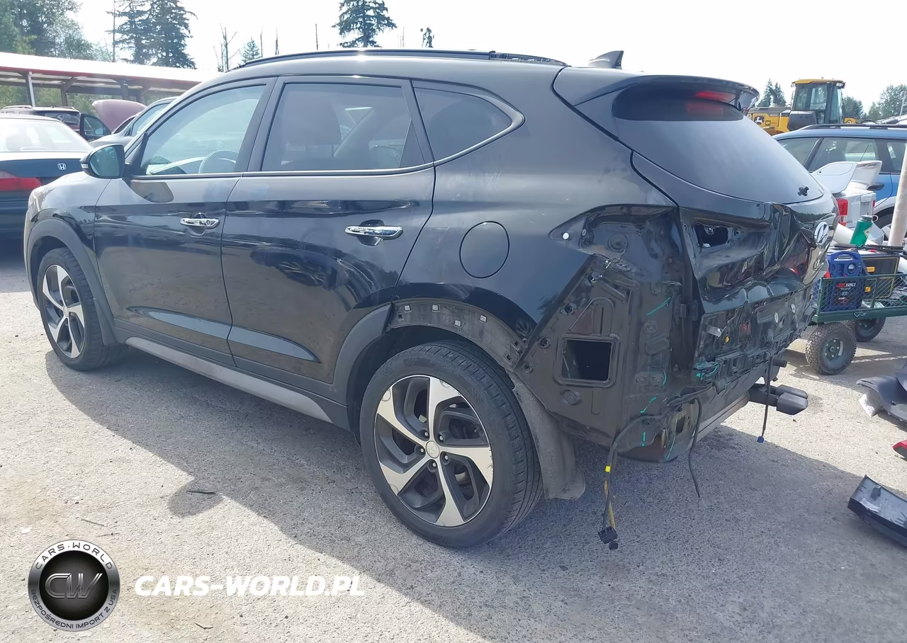2018 Hyundai Tucson Limited VIN:KM8J3CA2XJU674885 - 3