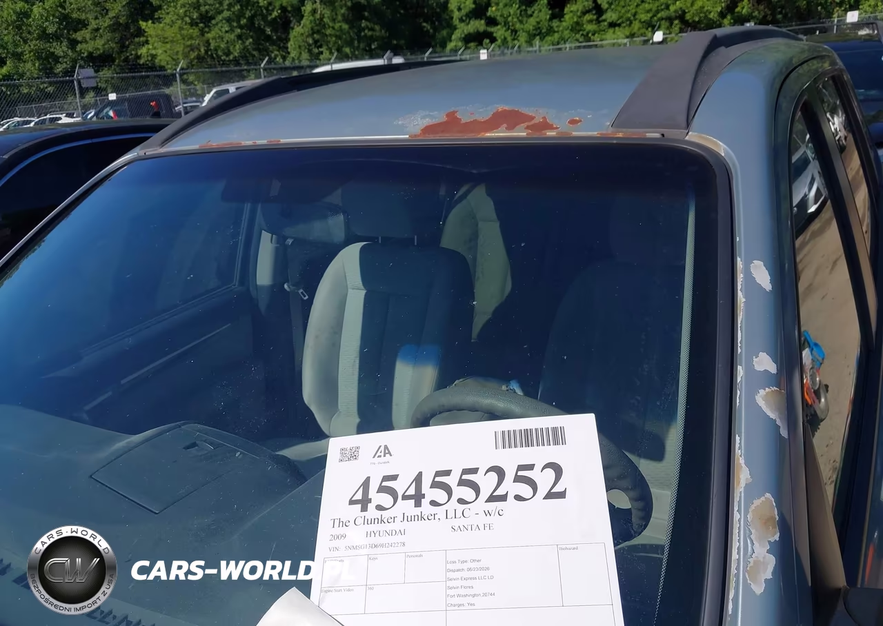 2009 Hyundai Santa Fe Gls VIN:5NMSG13D69H242278 - 12