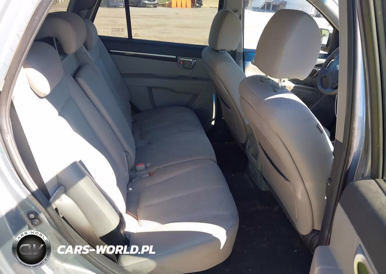 2009 Hyundai Santa Fe Gls VIN:5NMSG13D69H242278 - 8