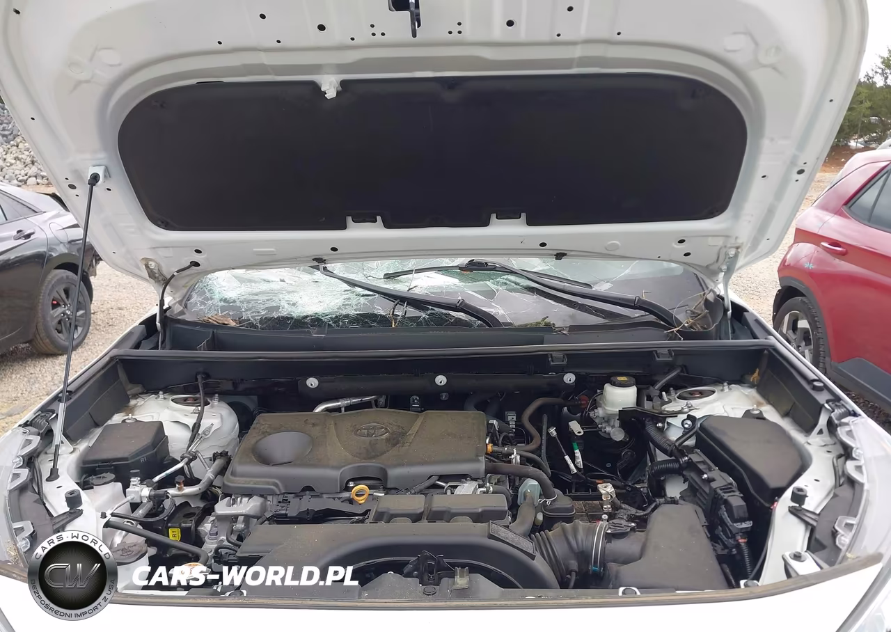 2020 Toyota Rav4 Xle Premium VIN:2T3C1RFV1LC068584 - 10