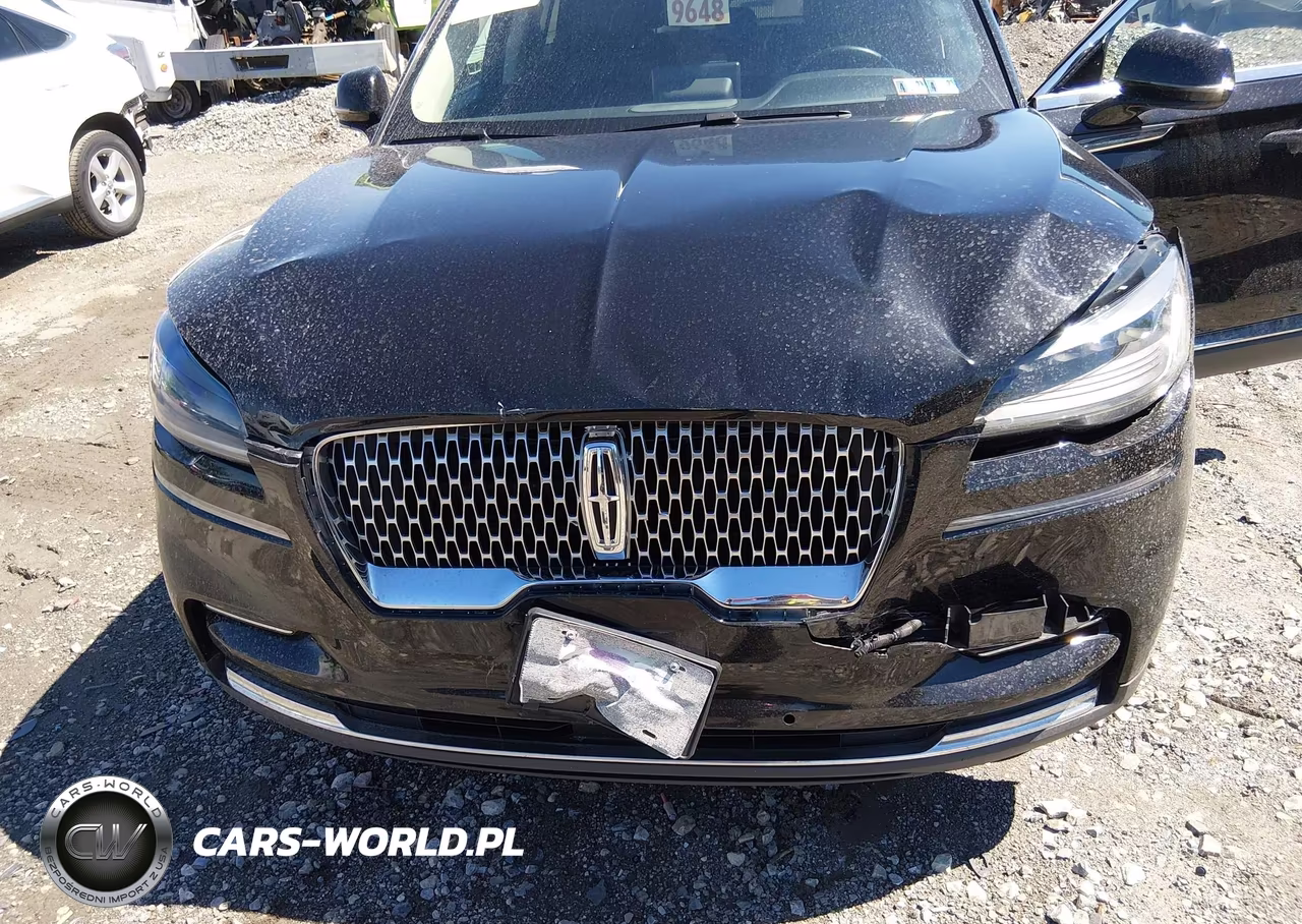 2022 Lincoln Aviator Livery VIN:5LM5J0XC8NGL14652 - 17