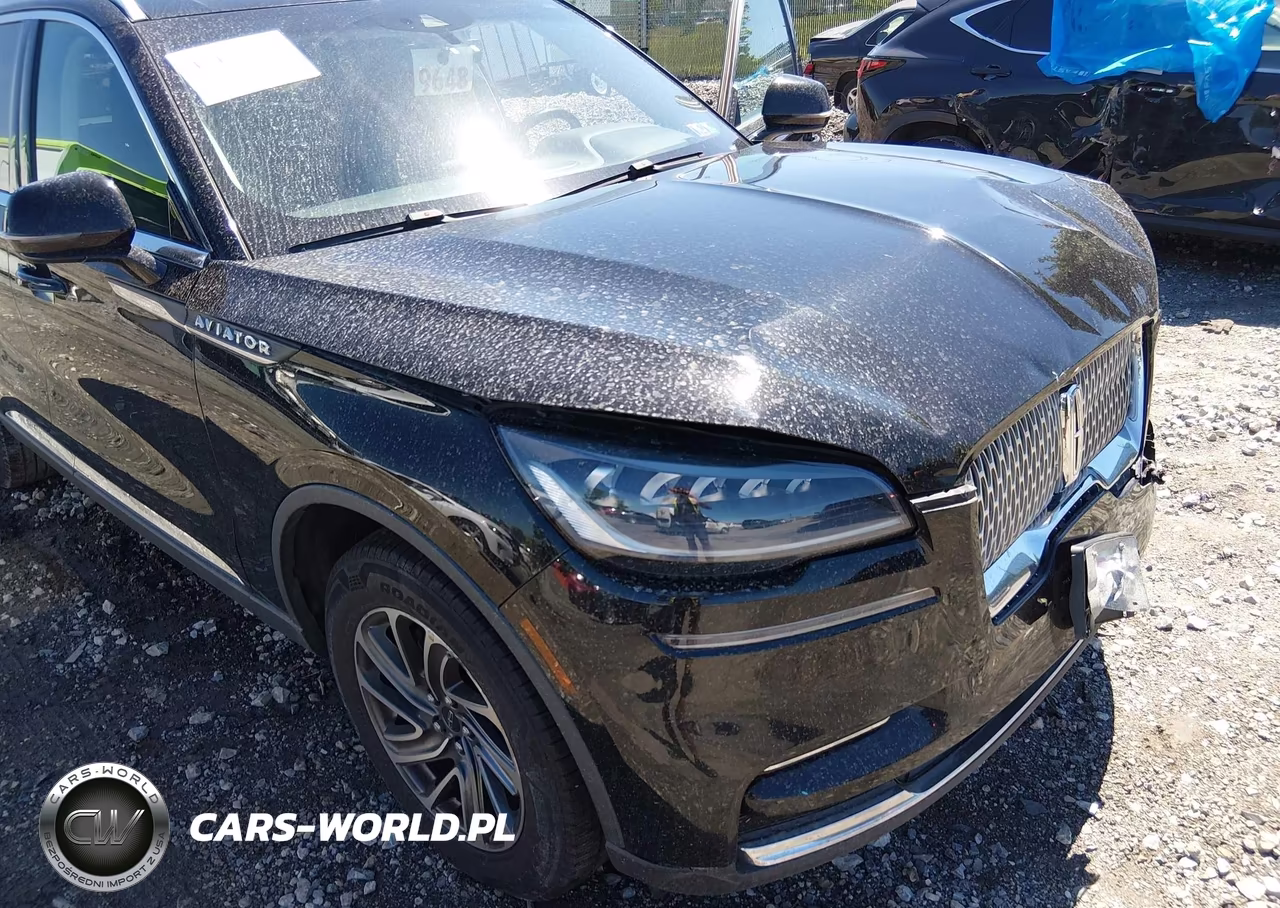2022 Lincoln Aviator Livery VIN:5LM5J0XC8NGL14652 - 18