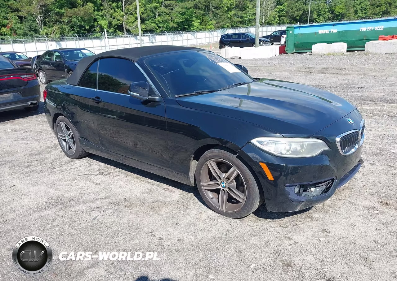 2017 BMW 230I