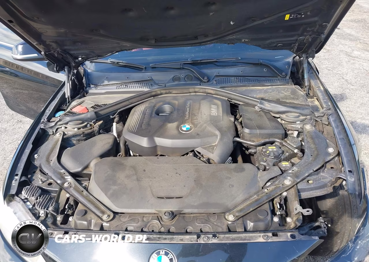 2017 BMW 230I VIN:WBA2K9C35HV647650 - 10