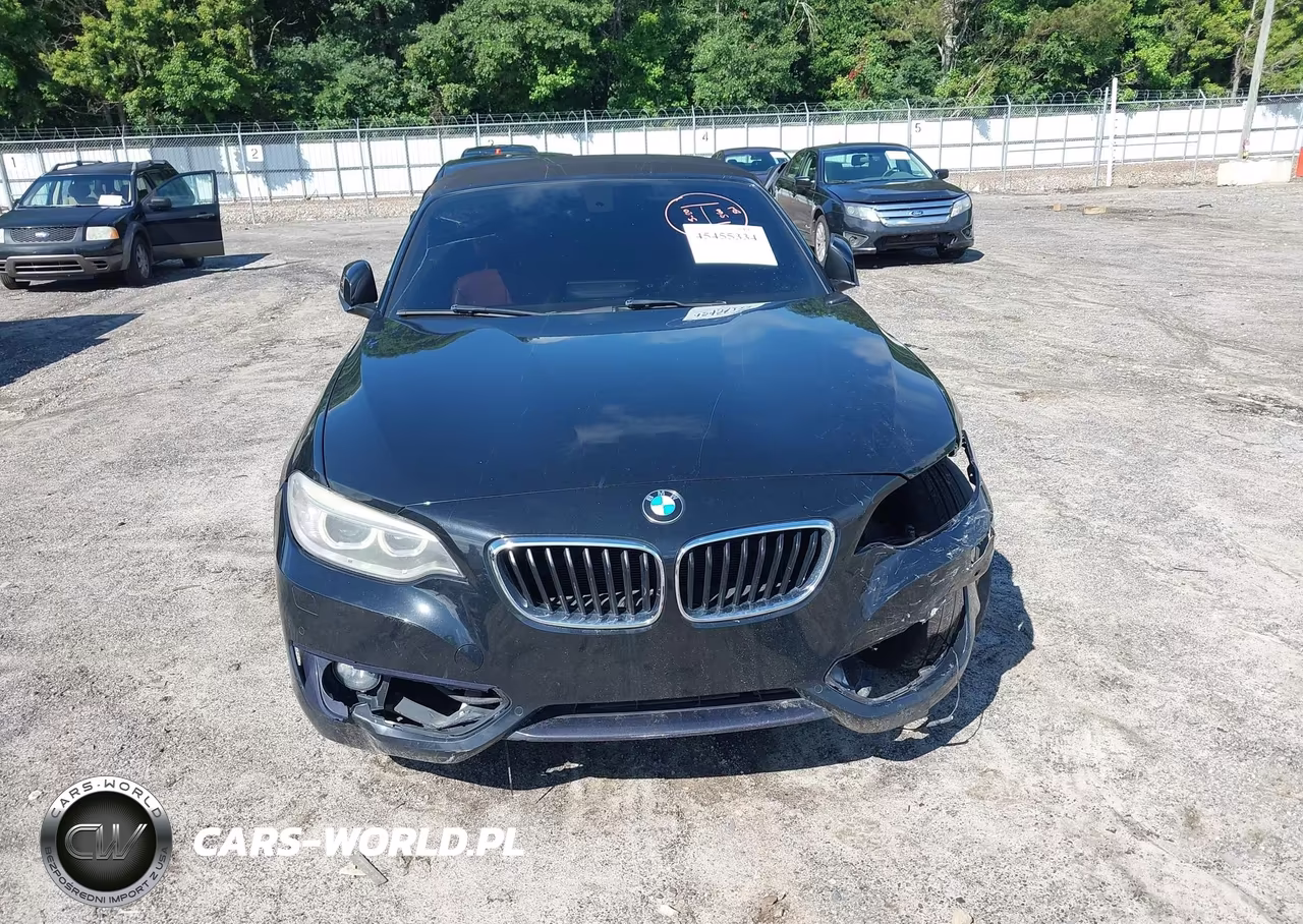 2017 BMW 230I VIN:WBA2K9C35HV647650 - 12