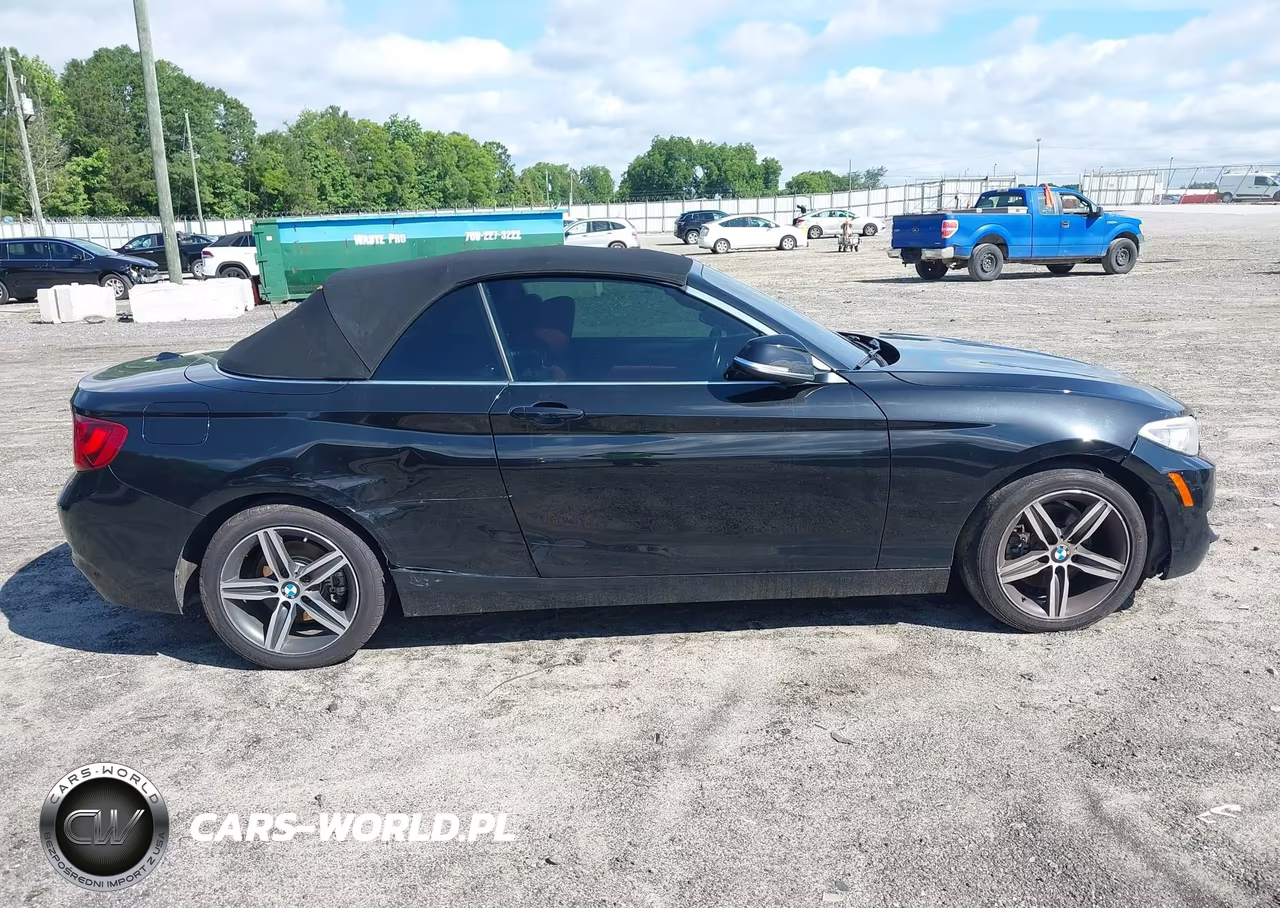 2017 BMW 230I VIN:WBA2K9C35HV647650 - 13