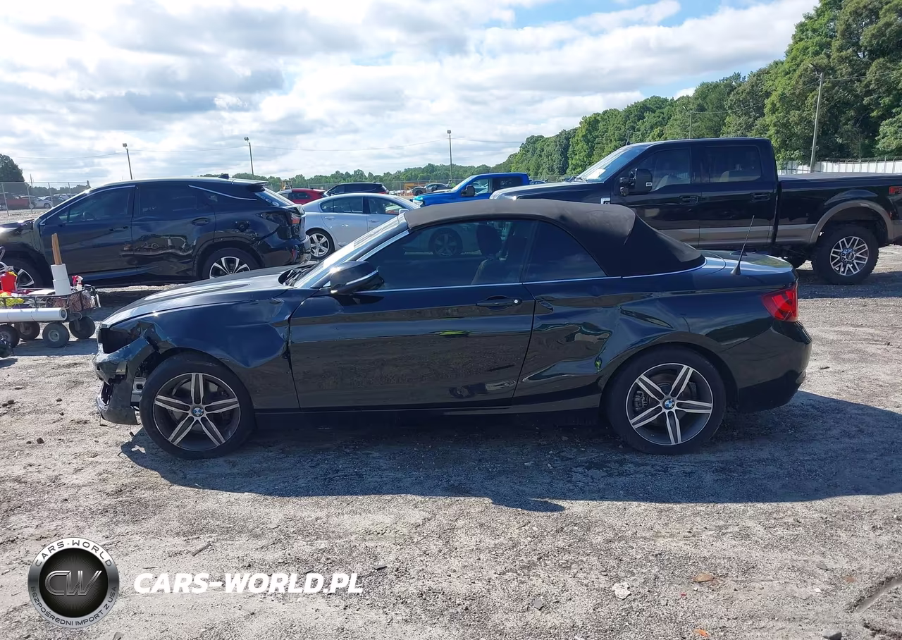2017 BMW 230I VIN:WBA2K9C35HV647650 - 14