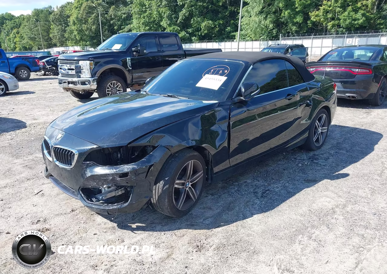 2017 BMW 230I VIN:WBA2K9C35HV647650 - 2