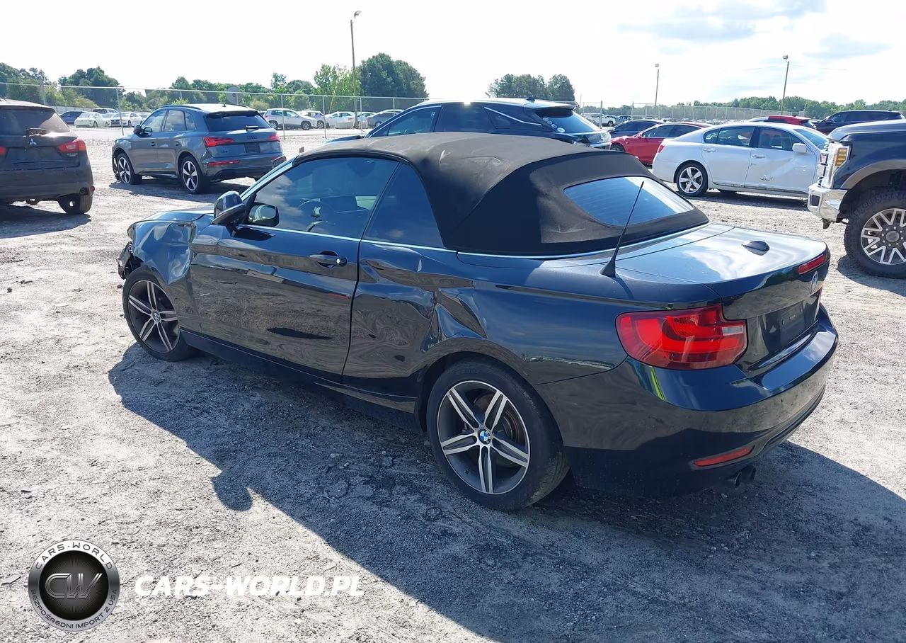 2017 BMW 230I VIN:WBA2K9C35HV647650 - 3
