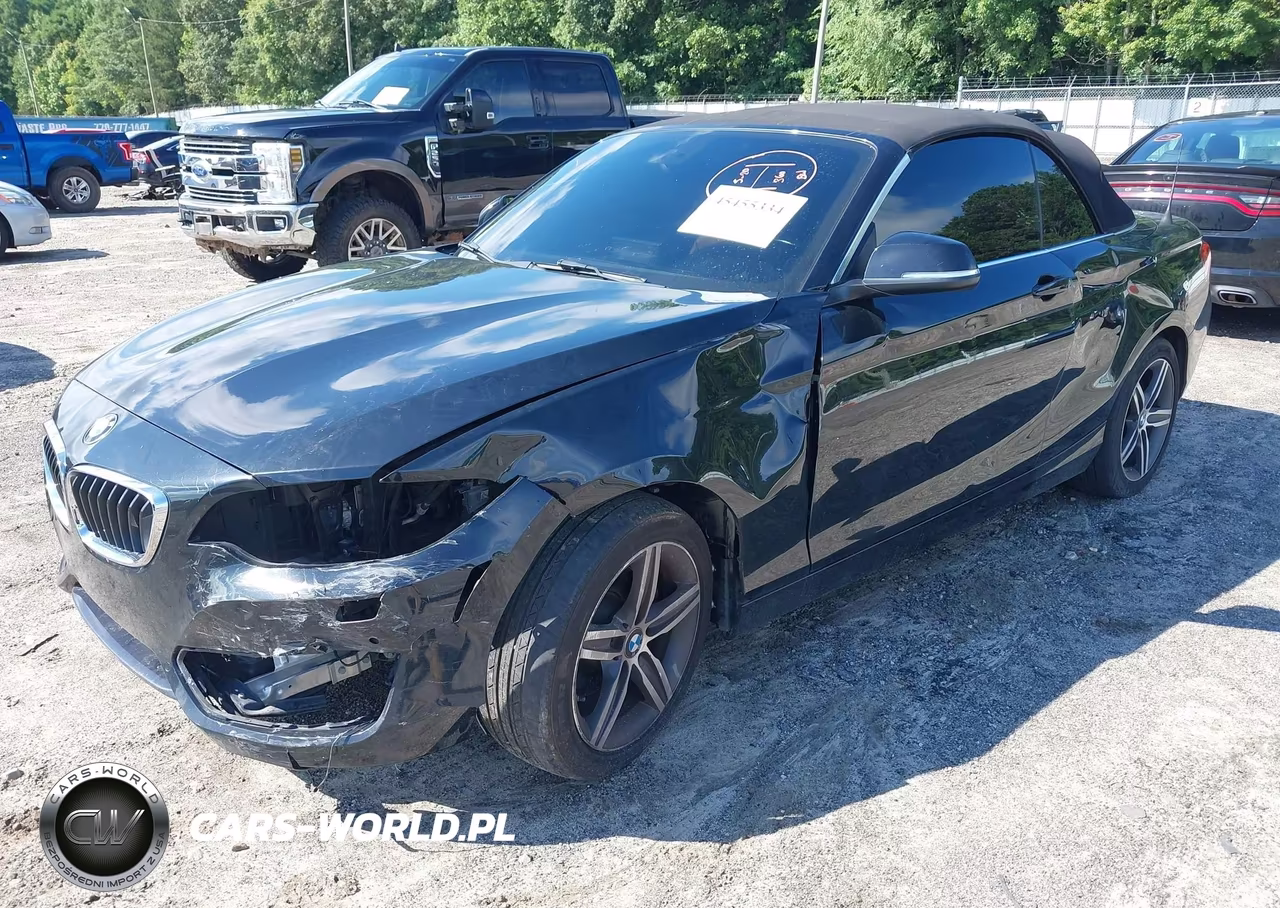 2017 BMW 230I VIN:WBA2K9C35HV647650 - 6
