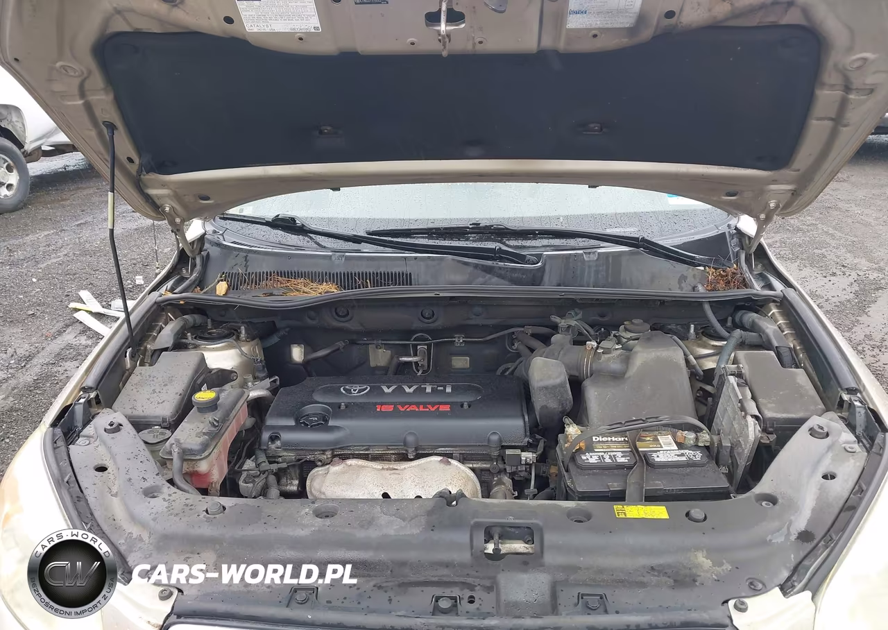 2006 Toyota Rav4 Limited VIN:JTMZD31V165027114 - 10