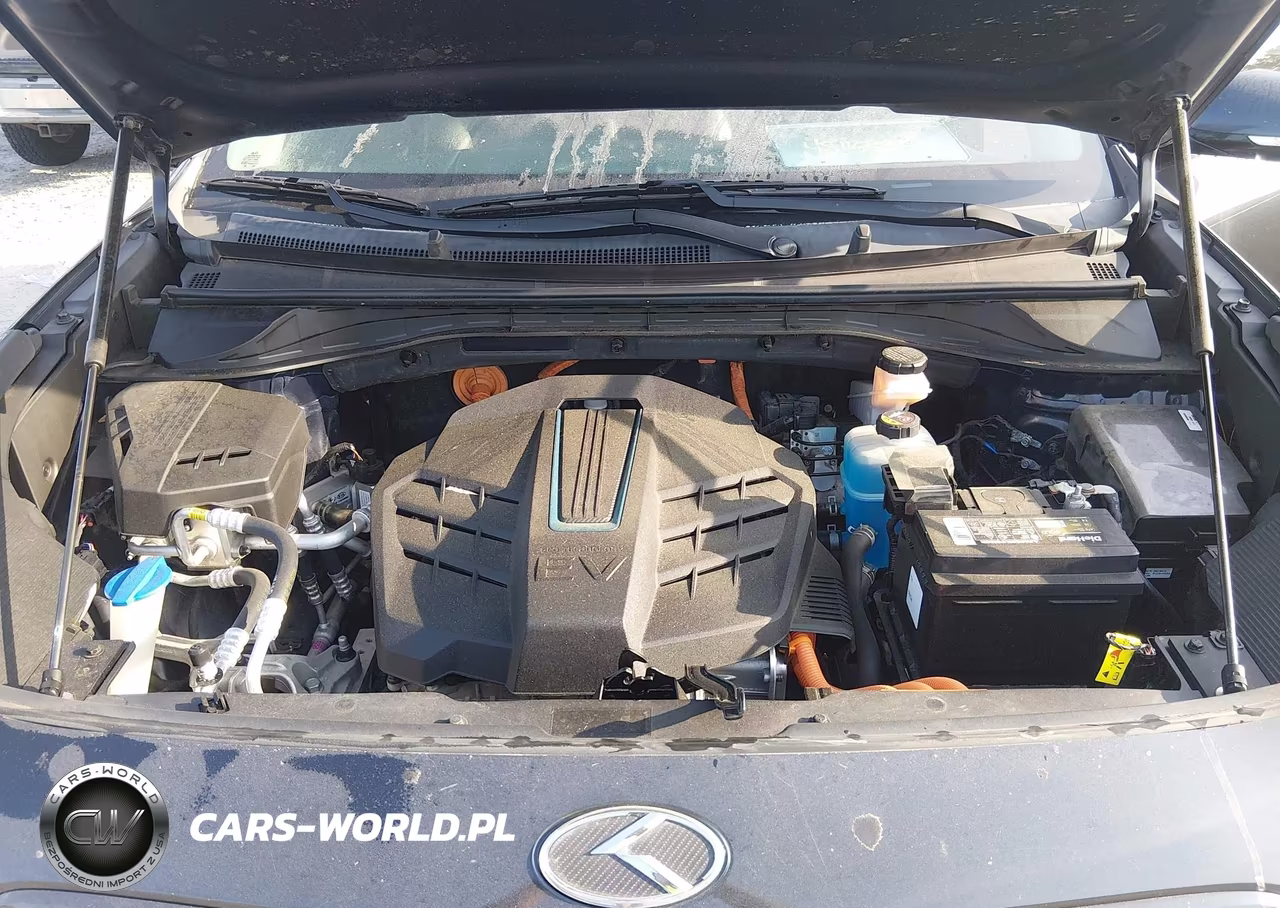 2021 Kia Niro Ev Ex Premium VIN:KNDCE3LG2M5098952 - 10