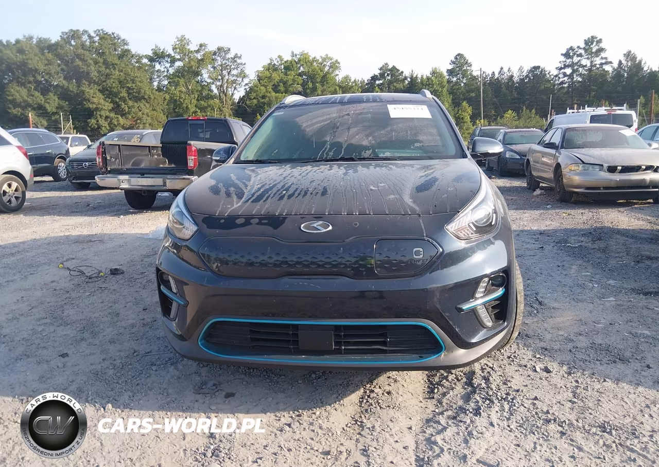 2021 Kia Niro Ev Ex Premium VIN:KNDCE3LG2M5098952 - 12