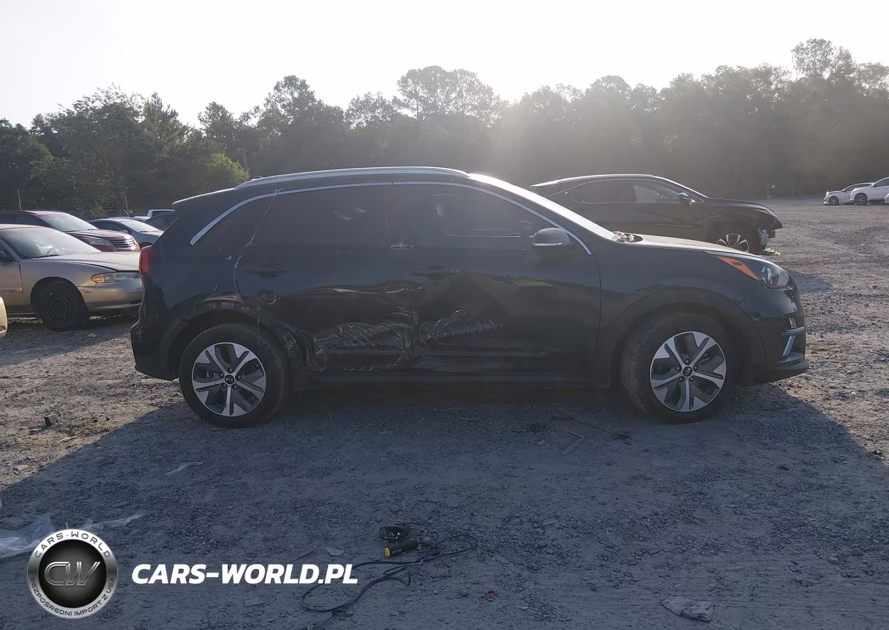 2021 Kia Niro Ev Ex Premium VIN:KNDCE3LG2M5098952 - 13