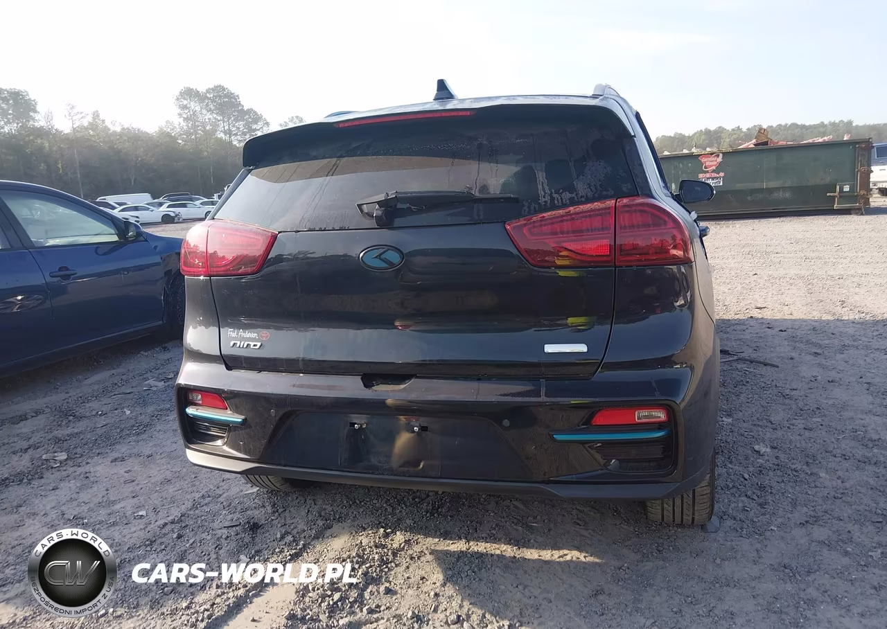 2021 Kia Niro Ev Ex Premium VIN:KNDCE3LG2M5098952 - 16