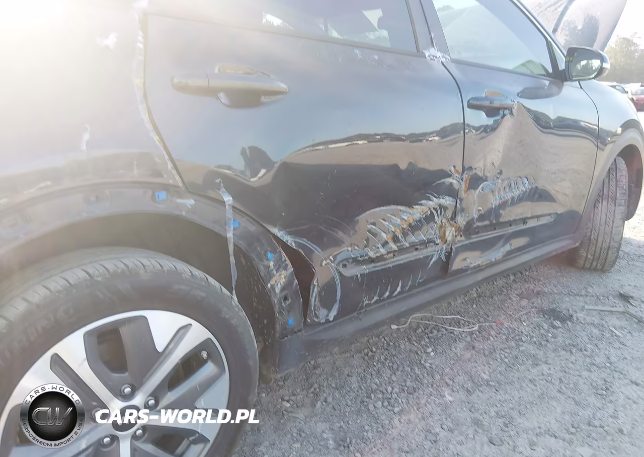2021 Kia Niro Ev Ex Premium VIN:KNDCE3LG2M5098952 - 20
