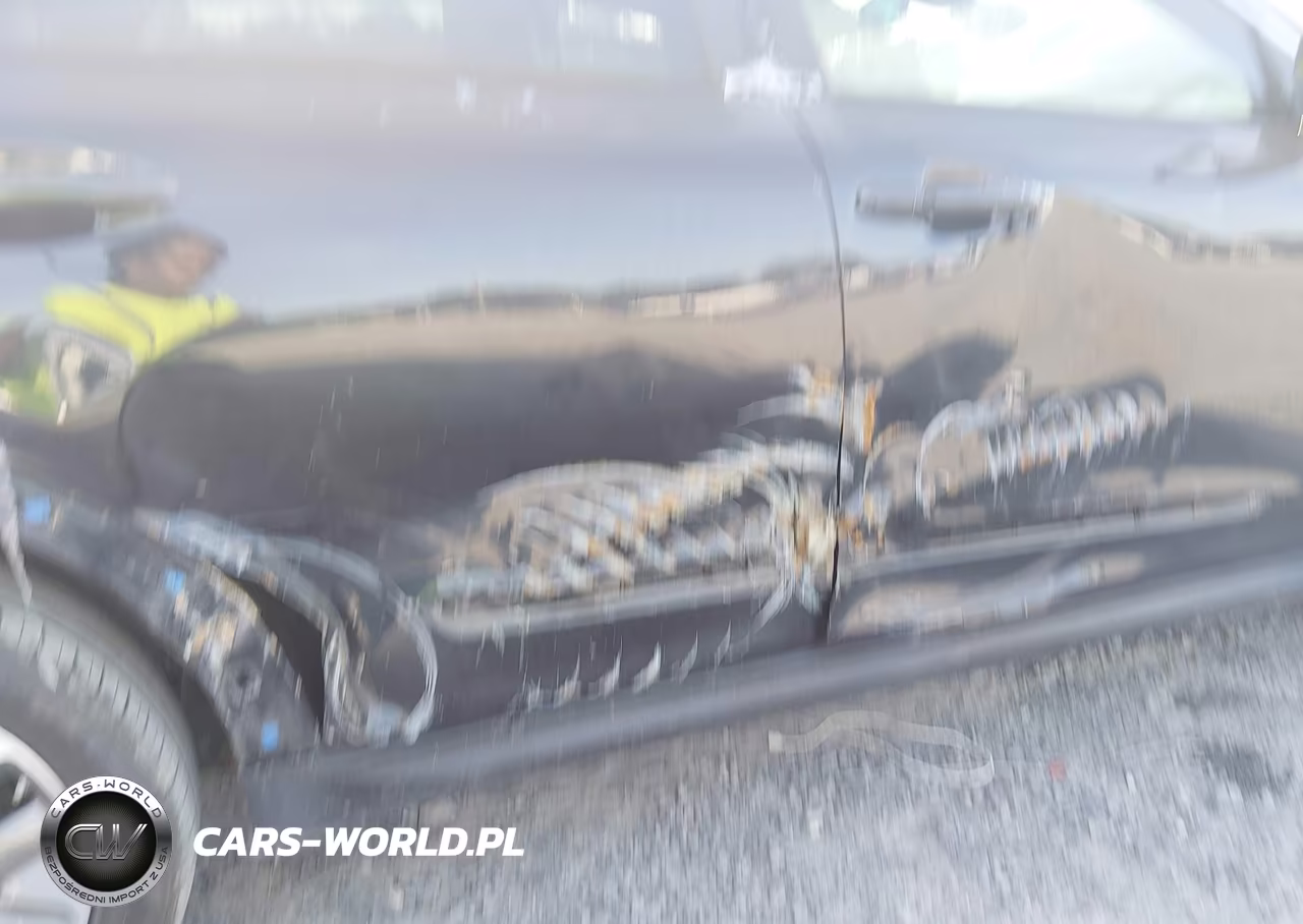 2021 Kia Niro Ev Ex Premium VIN:KNDCE3LG2M5098952 - 21