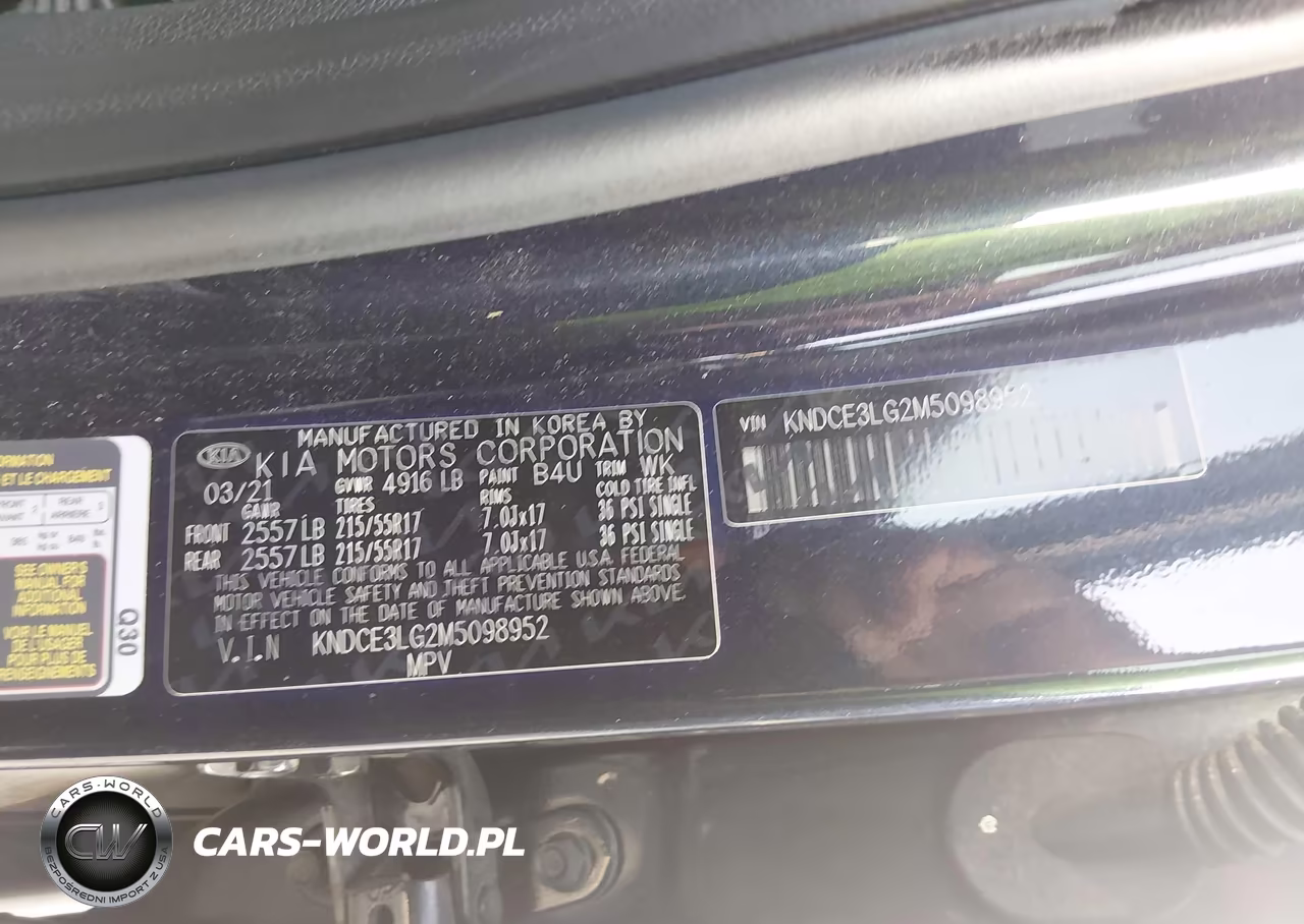 2021 Kia Niro Ev Ex Premium VIN:KNDCE3LG2M5098952 - 9