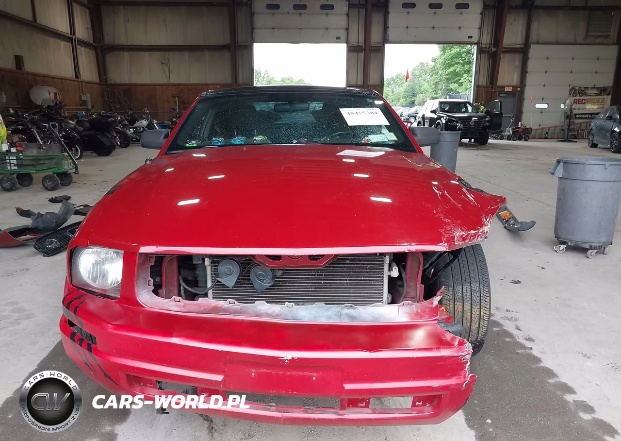 2009 Ford Mustang V6-V6 Premium VIN:1ZVHT80N195114297 - 13