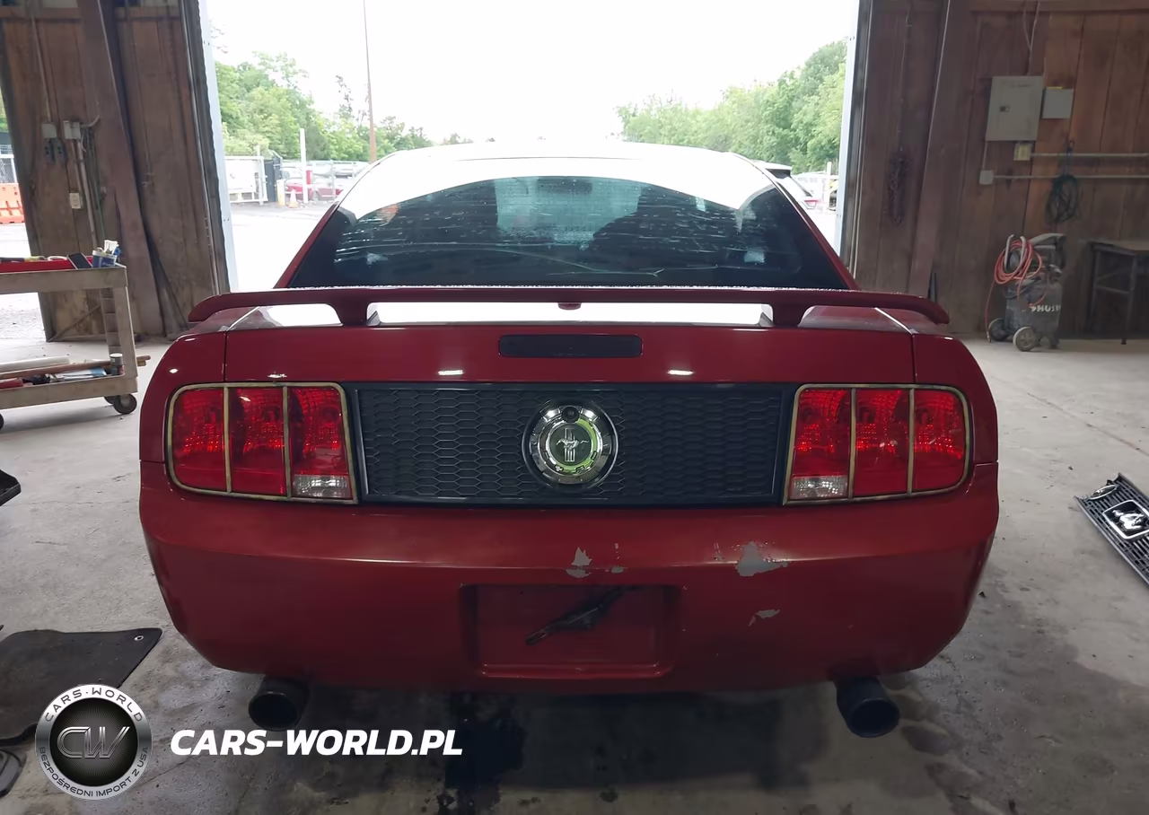 2009 Ford Mustang V6-V6 Premium VIN:1ZVHT80N195114297 - 17
